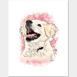 Zara the dog Posters and Art